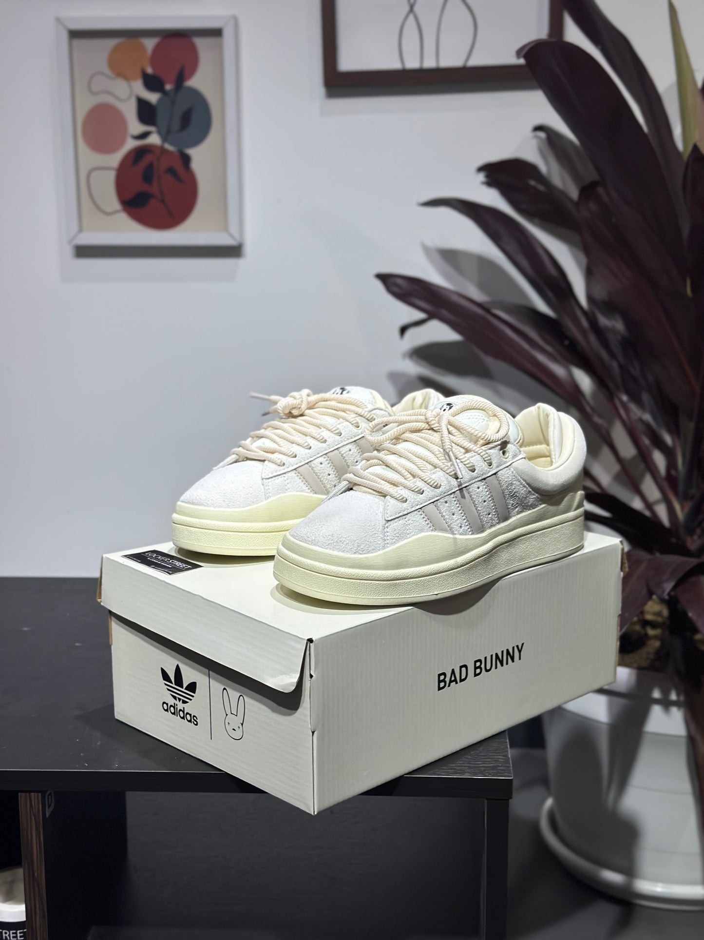 Bad Bunny X adidas Campus White Cloud