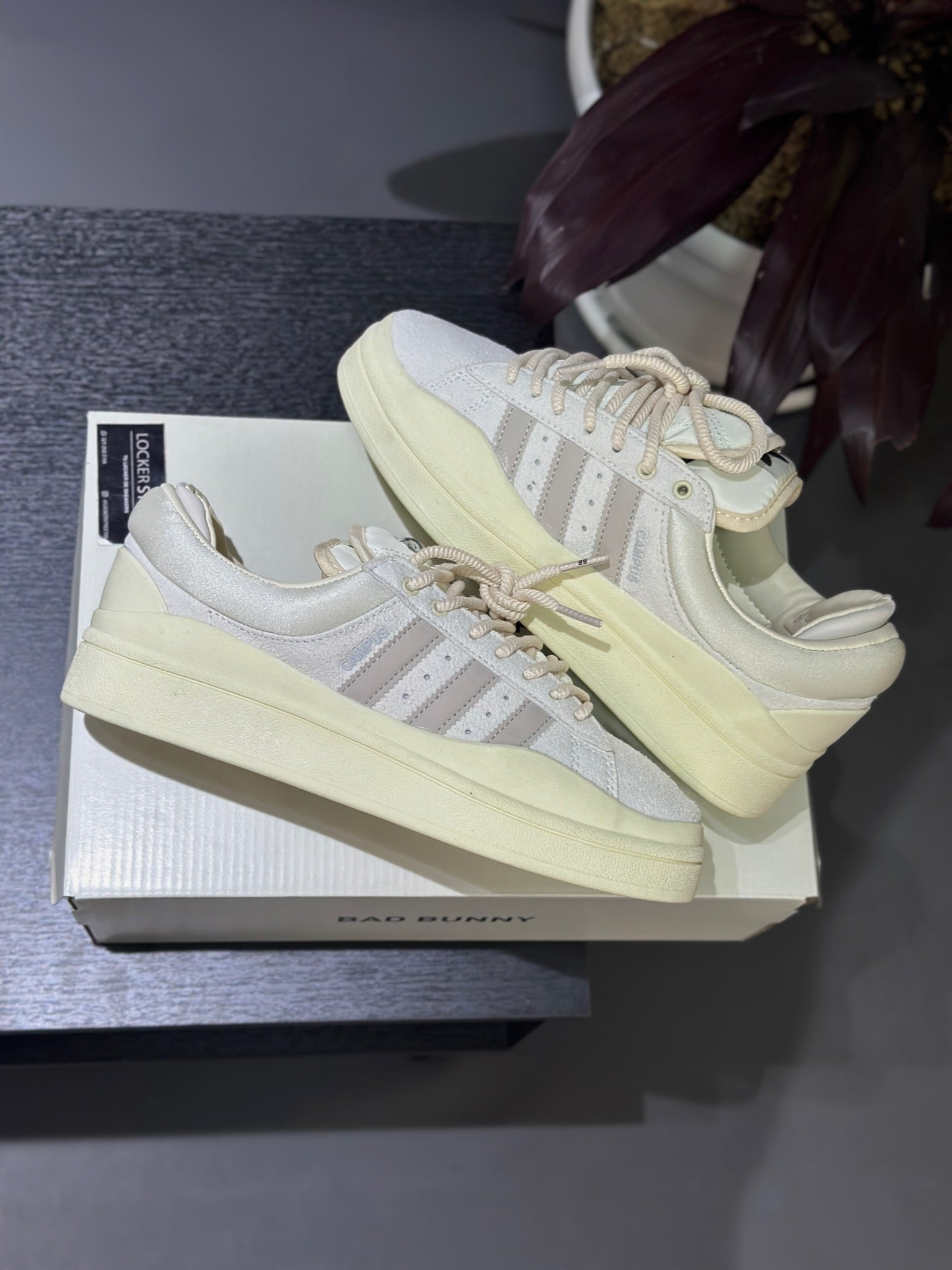 Bad Bunny X adidas Campus White Cloud LOCKERSTREET Bad Bunny X adidas Campus White Cloud LOCKERSTREET