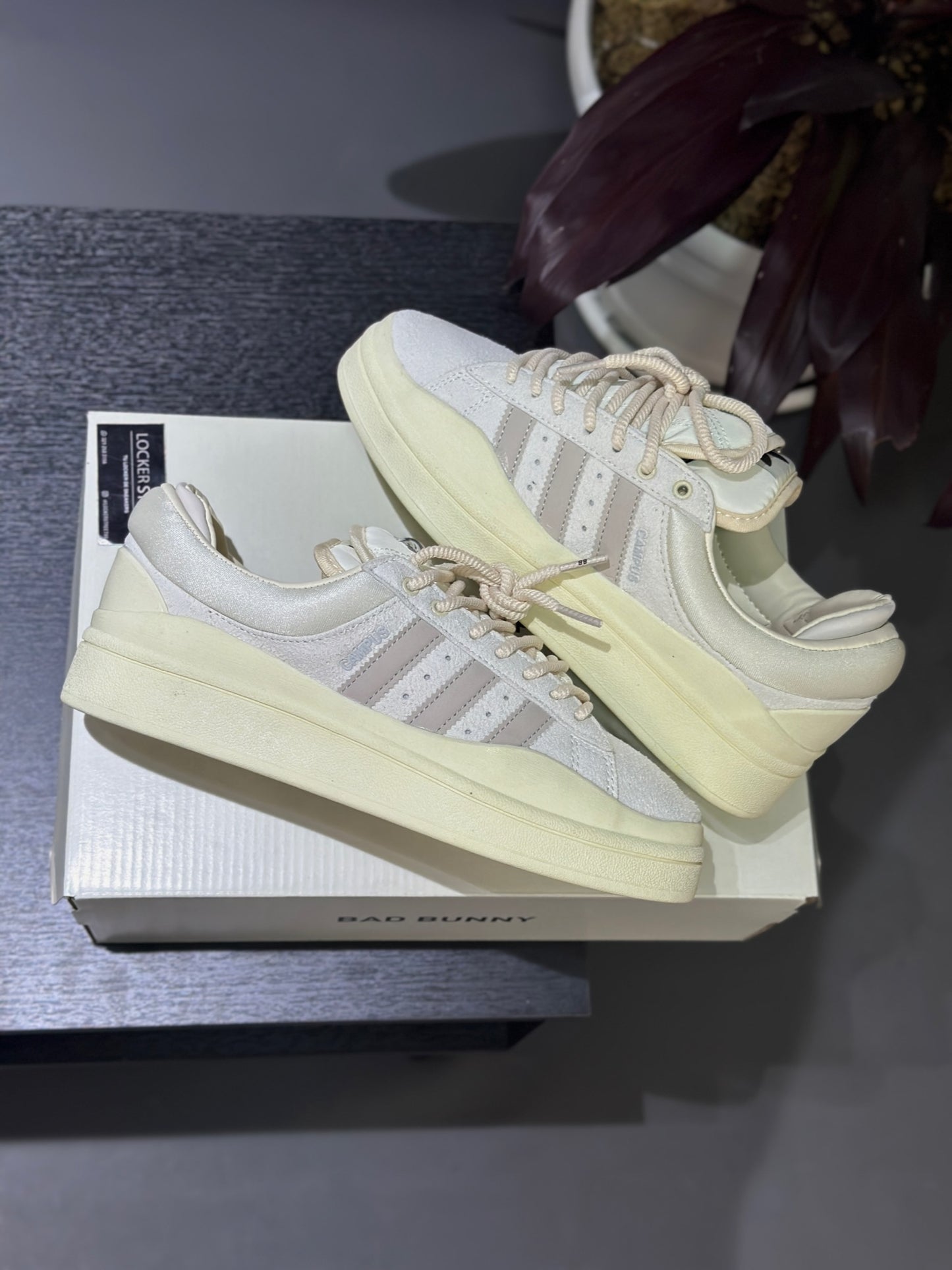 Bad Bunny X adidas Campus White Cloud