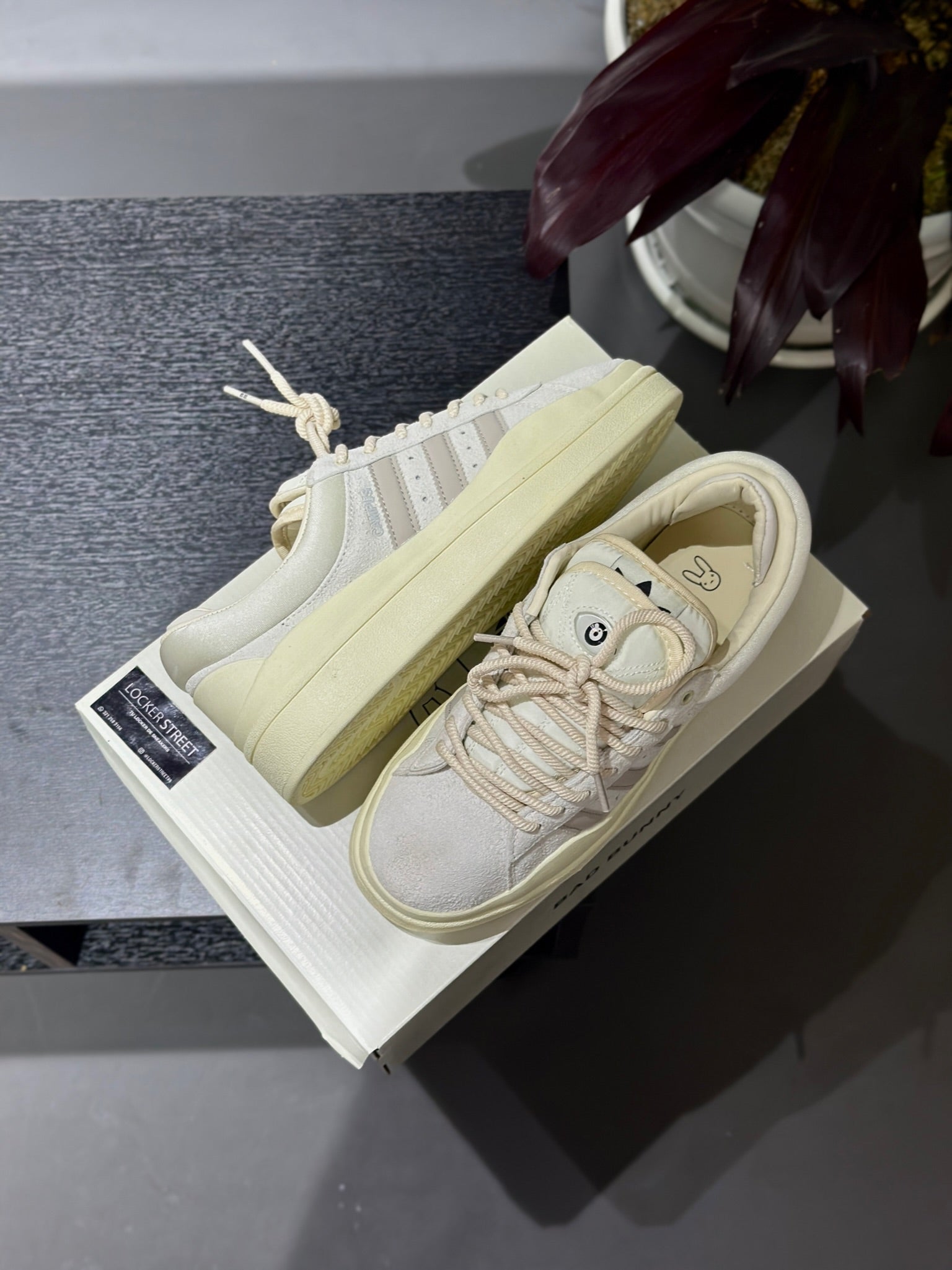 Bad Bunny X adidas Campus White Cloud LOCKERSTREET Bad Bunny X adidas Campus White Cloud LOCKERSTREET
