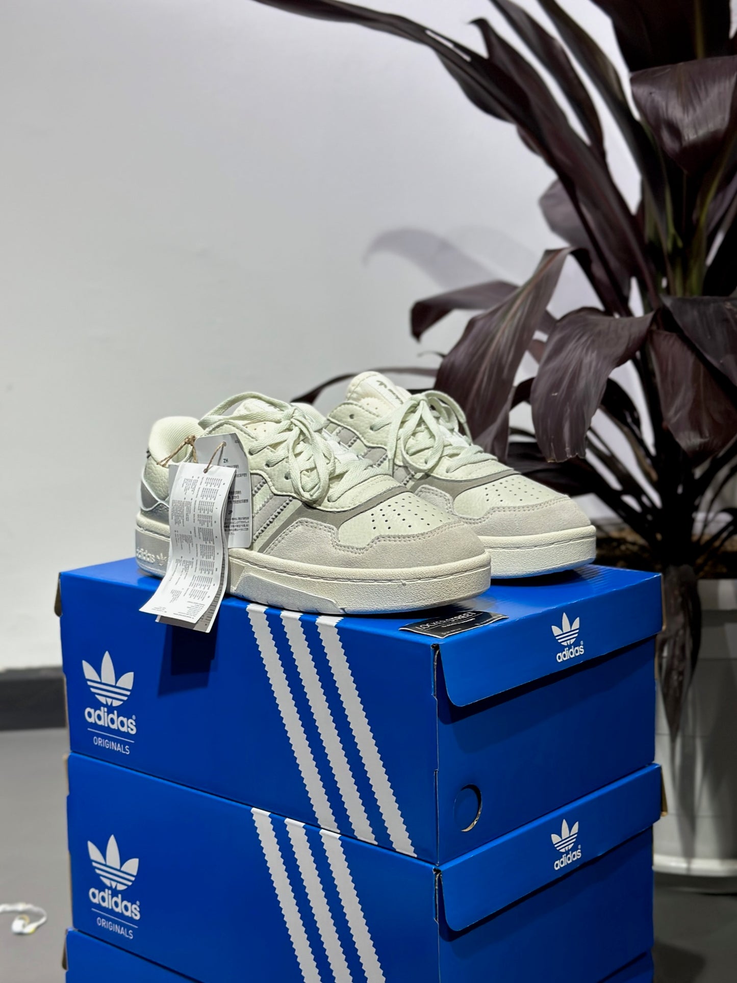 Adidas Courtic