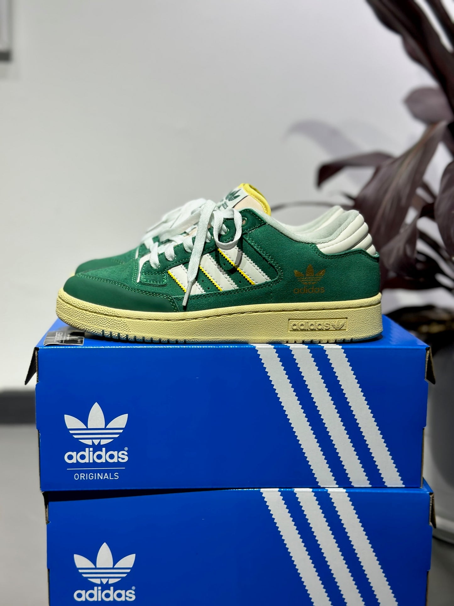 Adidas Centennial 85 Low “Collegiate Green”