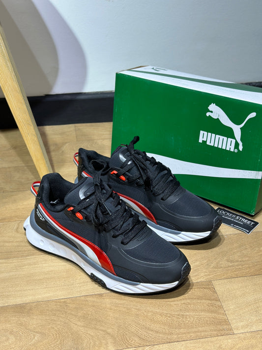 Puma