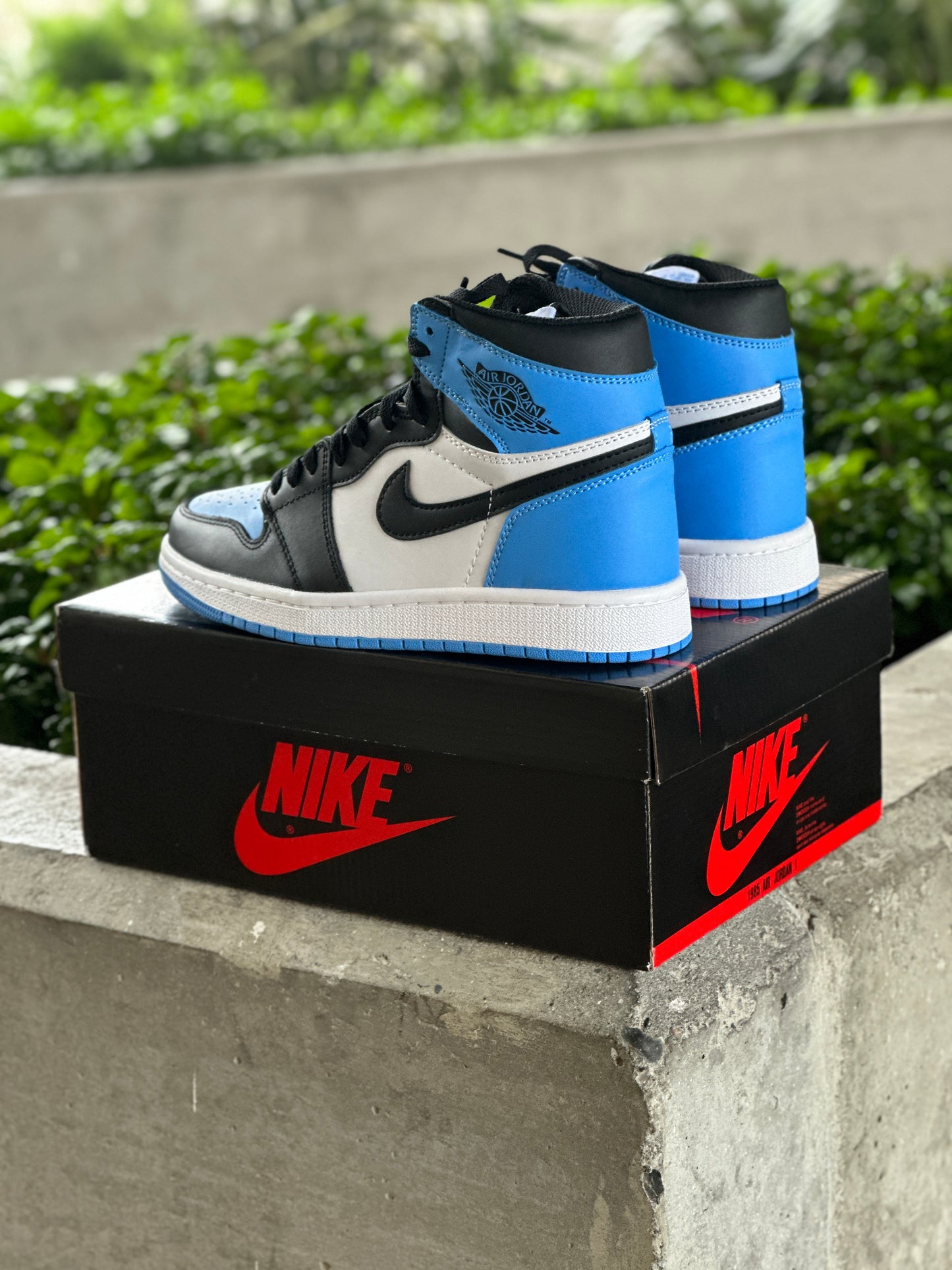 Air Jordan 1 UNC TOE